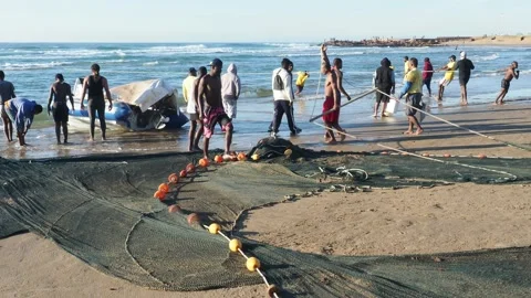 Fishermen on the beach prepare nets to catch sardines in South Africa Stock Footage 137082573