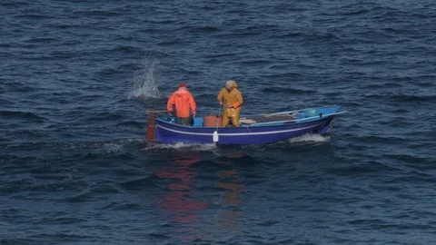 Fishermen with boat working with nets Video stock 123335629