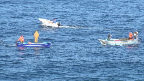 Fishermen with boat working with nets Video stock 123335960