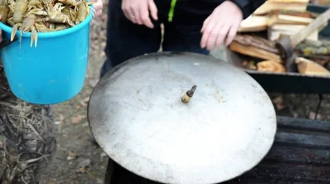 Fishermen boiled crayfish in a cauldron. Stock Footage 44865738