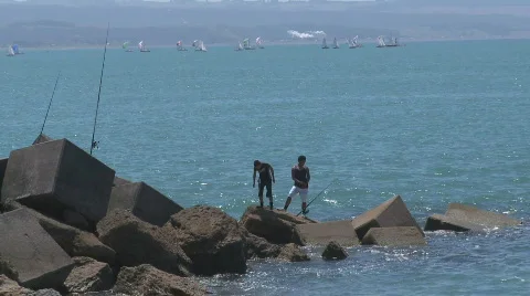 Fishermen on breakwater Stock Footage 314759