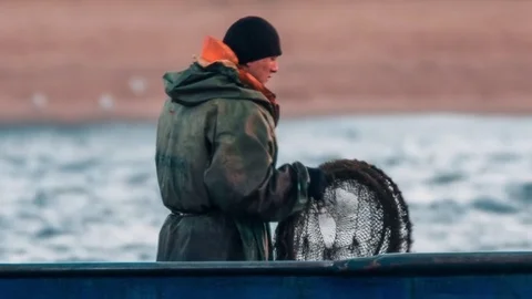 Fishermen Is Cashing Fish 스톡 동영상 74453766