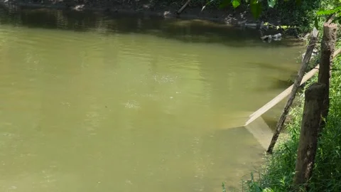 Fishermen Casting Net Stock Footage 342815129