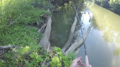 Fishermen Catch Fish Stock Footage 78742220