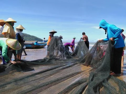 Fishermen catch fish with nets Stock Photos