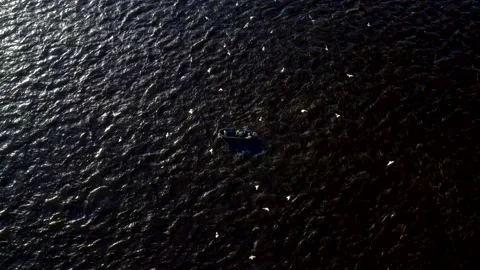 Fishermen catch fish, seagulls fly nearby Stock Footage 154538568