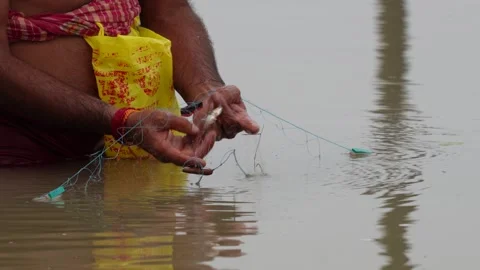 Fishermen catching fish using net in the river Stock Footage 314611739