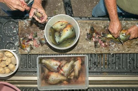 Fishermen cleaning a catch of redbreast sunfish Foto stock