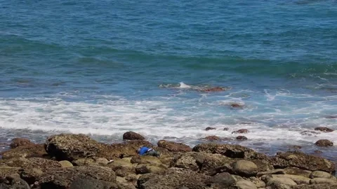 Fishermen collecting shellfish on the Pacific ocean beach, seafood seekers Stock Footage 141358348