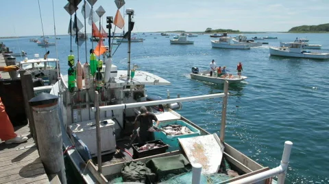 Fishermen at the docks Stock Footage 829513