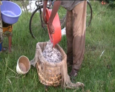 Fishermen Video stock 747673