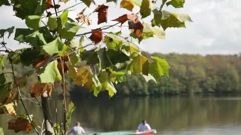 Fishermen Video stock 8836623