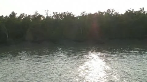 Fishermen Stock Footage 10793051