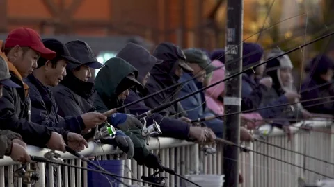 Fishermen Stock Footage 113923577