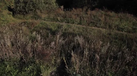 Fishermen go on pond 動画素材 48909778