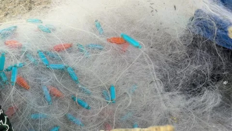 Fishermen hands untangle and spread fishing nets on the ground, thin lines and Stock Footage 325514217