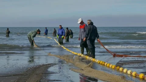 Fishermen hauling yellow float net from calm sea to wet winter shore Stock Footage 320462884
