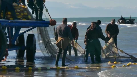 Fishermen hauling yellow float net to trailer in shallow Caspian waves Stock Footage 320462906