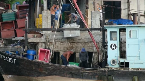 Fishermen at the Jetty Stock Footage 167655369