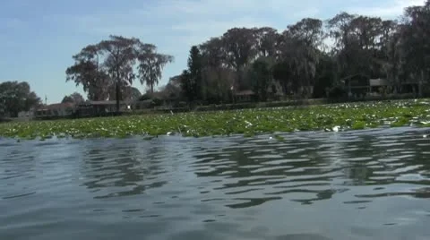 Fishermen Lake Florida Stock Footage 10761716