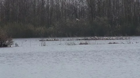 Fishermen on the lake Vídeo Stock 8918599