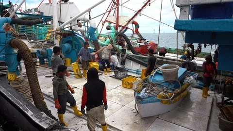 Fishermen load freshly caught fish from ship into plastic containers, Malaysia Video stock 124888927