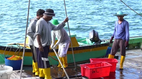 Fishermen load freshly caught fish from ship into plastic containers, Malaysia Stock Footage 134304439