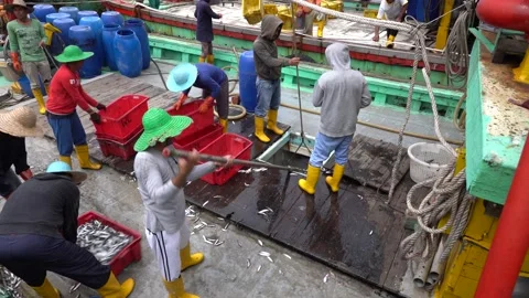 Fishermen load freshly caught fish from ship into plastic containers, Malaysia Stock Footage 138120046