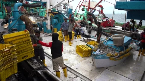 Fishermen load freshly caught fish from ship into plastic containers, Malaysia Stock Footage 138133225