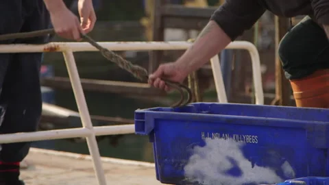 Fishermen loading crate on boat Vidéo 144292663