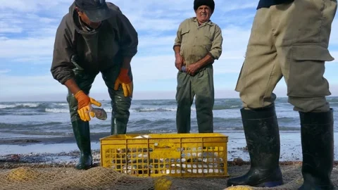 Fishermen loading fresh catch into yellow crate on shoreline Stock Footage 320462719