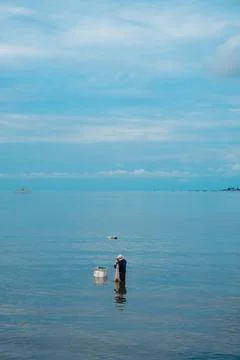 Fishermen looking for fish on the beach 스톡 사진