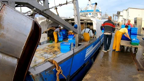 Fishermen making fish boxes. Stock Footage 105017074