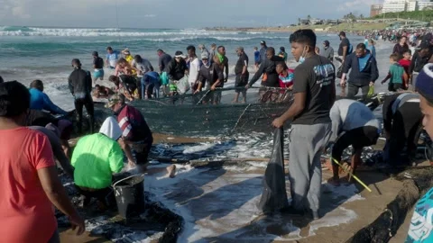 Fishermen netting sardines on the beach at Scottburgh in South Africa Stock Footage 134677753
