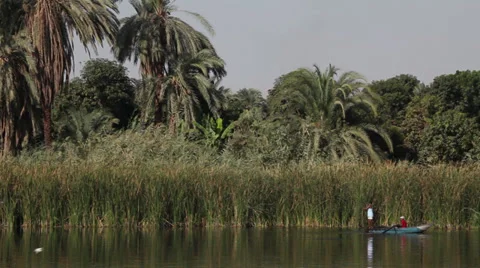 Fishermen on the Nile river, Egypt Stock Footage 34991515