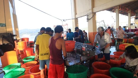 Fishermen offloading fish Stock Footage 122978541