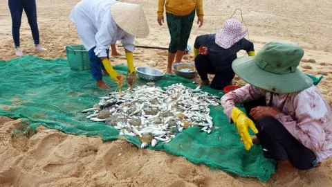 Fishermen 스톡 사진
