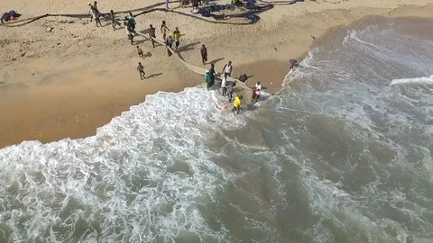 Fishermen picking out fish in their net Stock Footage 91460433