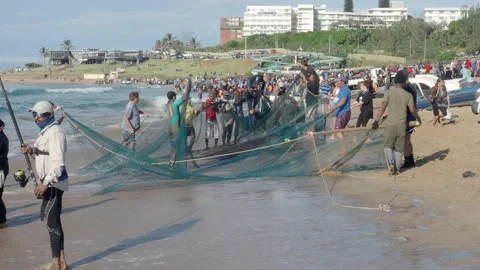 Fishermen preparing a sardine net on the beach at Scottburgh in South Africa Stock Footage 134681445
