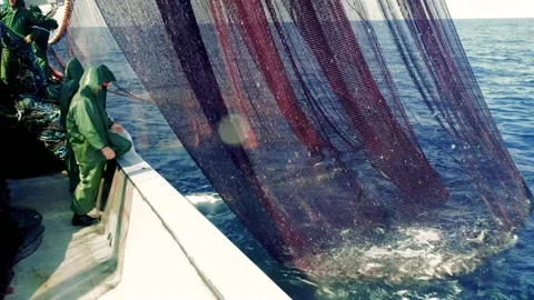 Fishermen Pull Fishing Net Stock Footage 153000180
