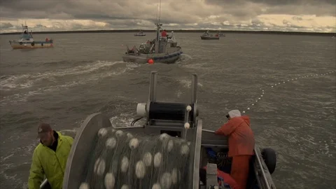 Fishermen pull in long fish line onto boat in Bristol Bay, AK. Video stock 92071527