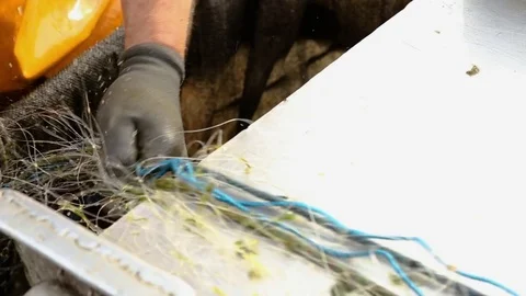 Fishermen pull out fishing nets on boat Stock Footage 85299299