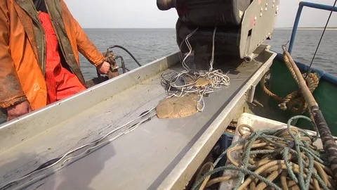Fishermen pull out fishing nets on boat Stock Footage 85299656