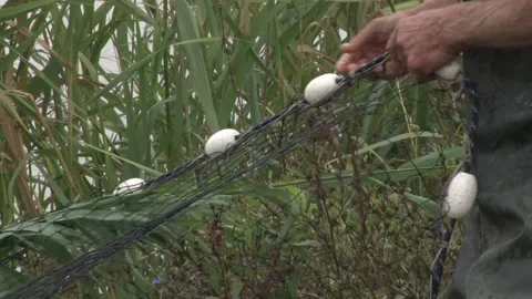 Fishermen pulling fishing net . Stock Footage 236968539