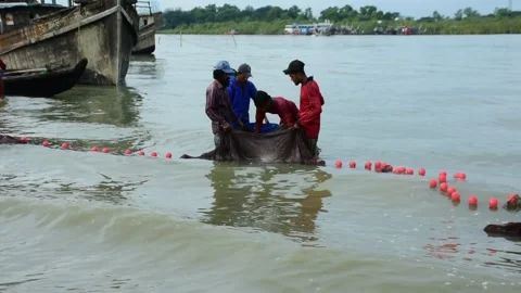 Fishermen Pulling Large Fishing Net in River During High Tide Stock Footage 319461851