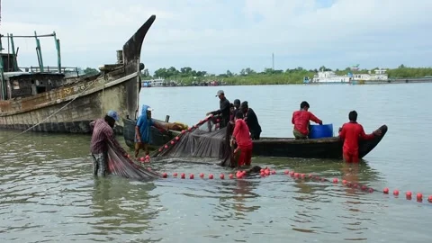 Fishermen Pulling Large Fishing Net in River During High Tide Stock Footage 319462033