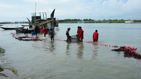 Fishermen Pulling Large Fishing Net in River During High Tide Stock Footage 319462071