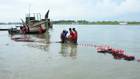 Fishermen Pulling Large Fishing Net in River During High Tide Stock Footage 319462209