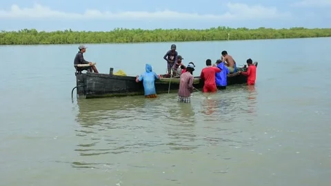 Fishermen Pulling Large Fishing Net in River During High Tide Stock Footage 319462283