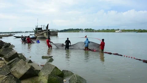 Fishermen Pulling Large Fishing Net in River During High Tide Stock Footage 319462316